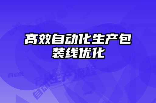 高效自动化生产包装线优化