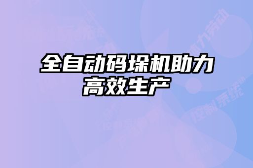 全自动码垛机助力高效生产