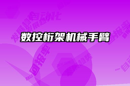 数控桁架机械手臂