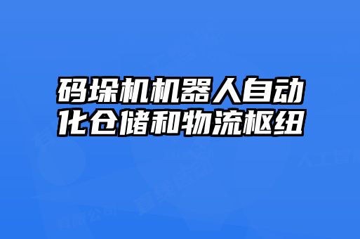 码垛机机器人自动化仓储和物流枢纽