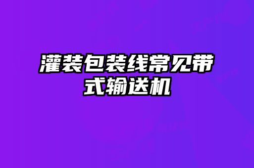 灌装包装线常见带式输送机