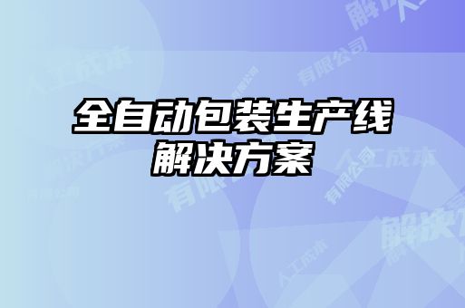 全自动包装生产线解决方案