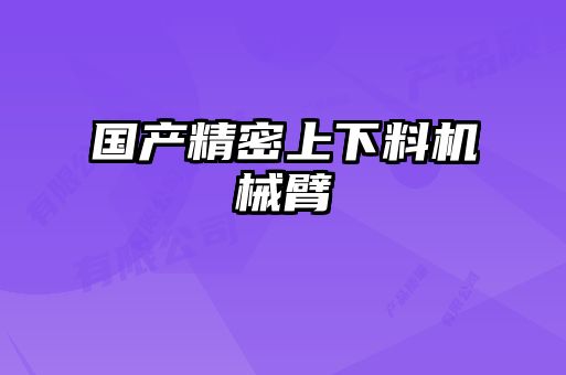 国产精密上下料机械臂