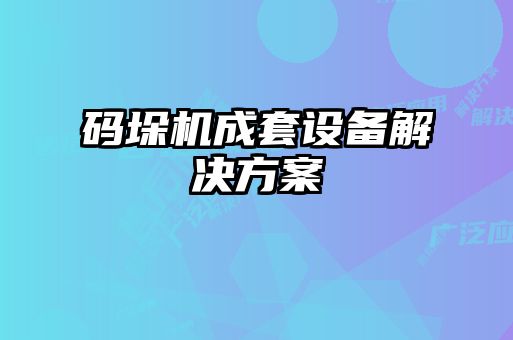 码垛机成套设备解决方案