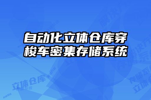 自动化立体仓库穿梭车密集存储系统