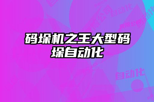 码垛机之王大型码垛自动化