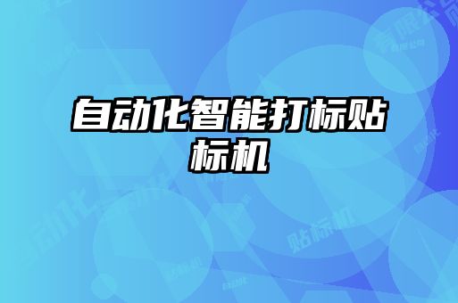 自动化智能打标贴标机