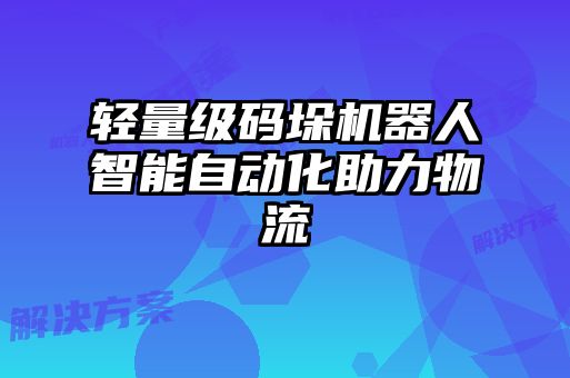 轻量级码垛机器人智能自动化助力物流