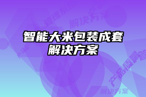 智能大米包装成套解决方案
