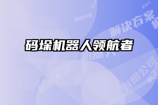 码垛机器人领航者
