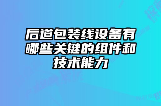 后道包装线设备有哪些关键的组件和技术能力