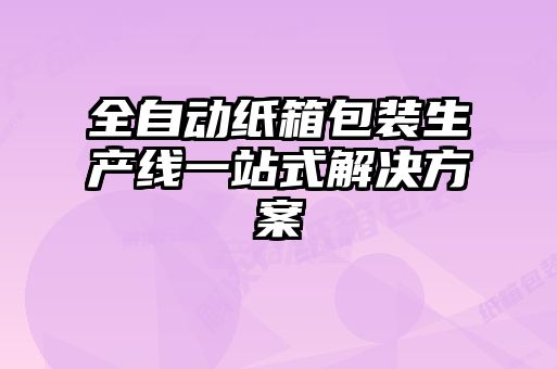 全自动纸箱包装生产线一站式解决方案