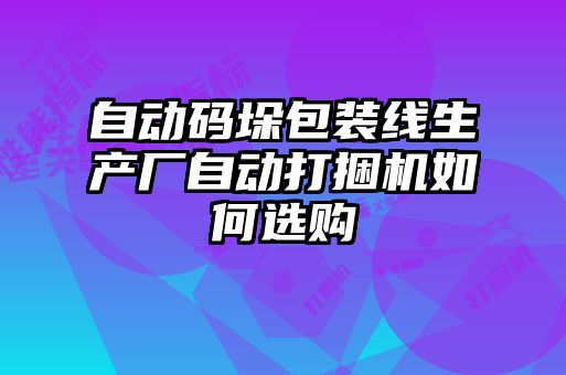 自动码垛包装线生产厂自动打捆机如何选购