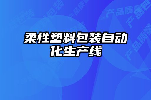 柔性塑料包装自动化生产线