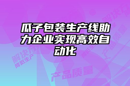 瓜子包装生产线助力企业实现高效自动化