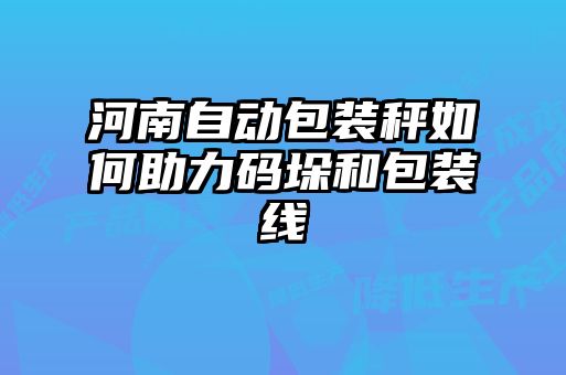 河南自动包装秤如何助力码垛和包装线