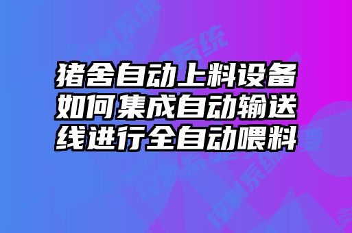 猪舍自动上料设备如何集成自动输送线进行全自动喂料