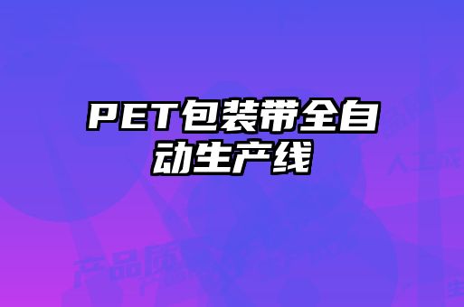 PET包装带全自动生产线