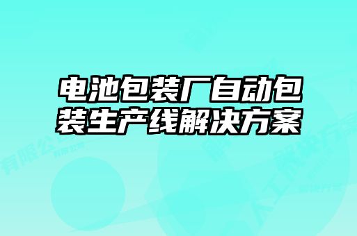 电池包装厂自动包装生产线解决方案