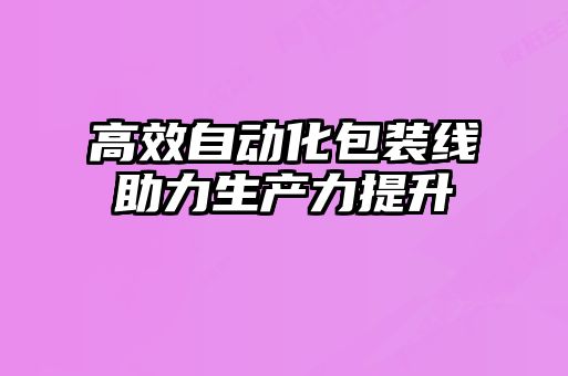 高效自动化包装线助力生产力提升