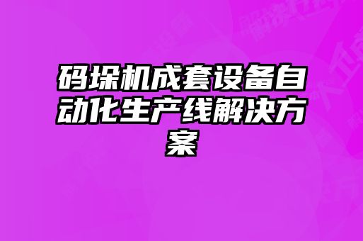 码垛机成套设备自动化生产线解决方案