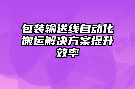 包装输送线自动化搬运解决方案提升效率