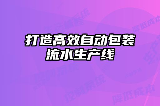 打造高效自动包装流水生产线