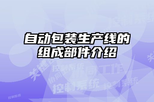 自动包装生产线的组成部件介绍