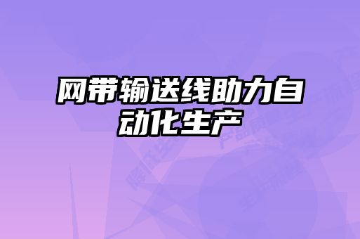 网带输送线助力自动化生产