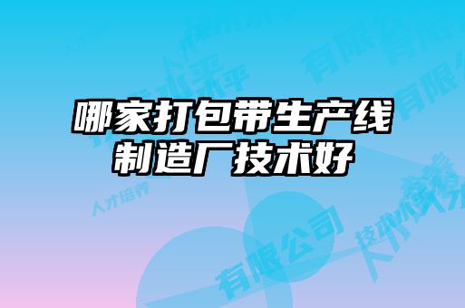 哪家打包带生产线制造厂技术好