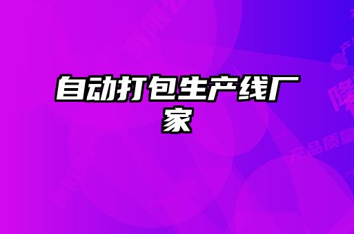 自动打包生产线厂家