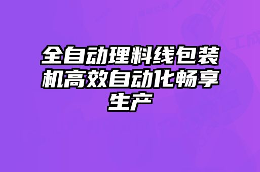 全自动理料线包装机高效自动化畅享生产