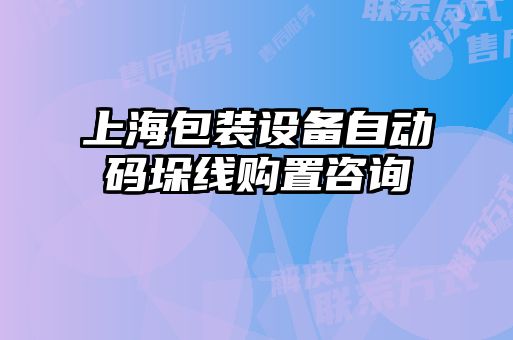 上海包装设备自动码垛线购置咨询