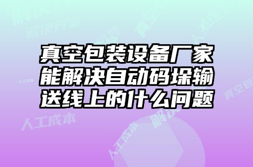 真空包装设备厂家能解决自动码垛输送线上的什么问题