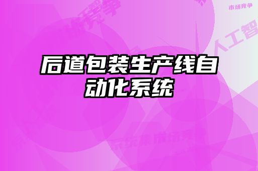 后道包装生产线自动化系统