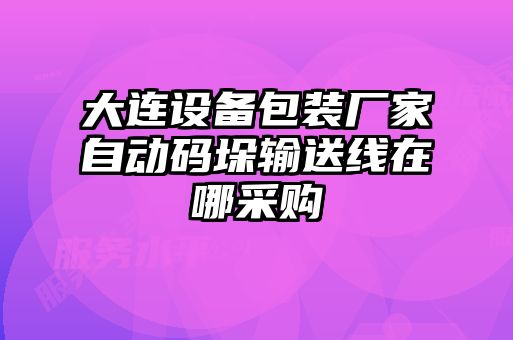 大连设备包装厂家自动码垛输送线在哪采购