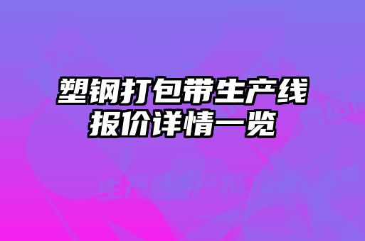 塑钢打包带生产线报价详情一览