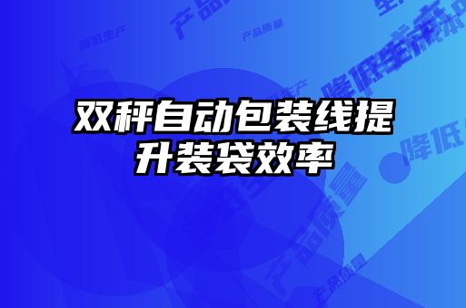 双秤自动包装线提升装袋效率