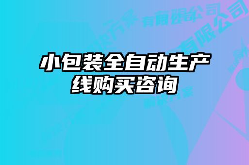 小包装全自动生产线购买咨询