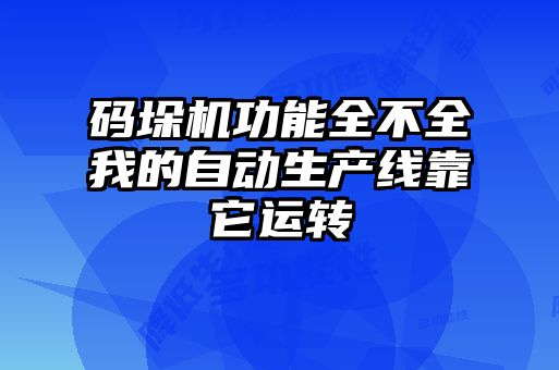 码垛机功能全不全我的自动生产线靠它运转