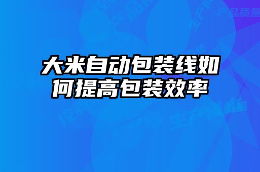 大米自动包装线如何提高包装效率