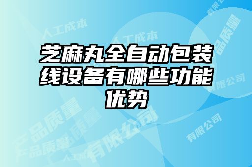 芝麻丸全自动包装线设备有哪些功能优势