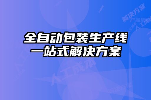 全自动包装生产线一站式解决方案