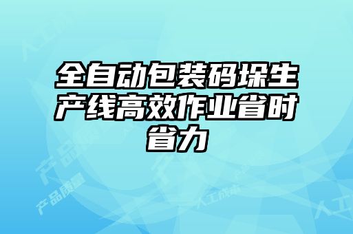全自动包装码垛生产线高效作业省时省力