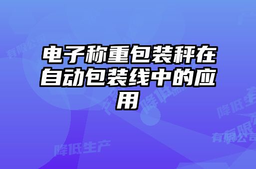 电子称重包装秤在自动包装线中的应用
