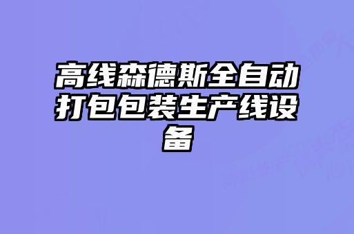 高线森德斯全自动打包包装生产线设备