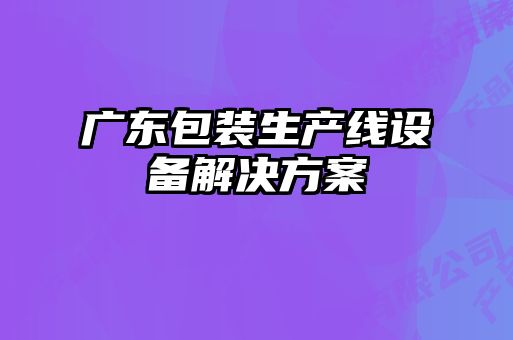 广东包装生产线设备解决方案