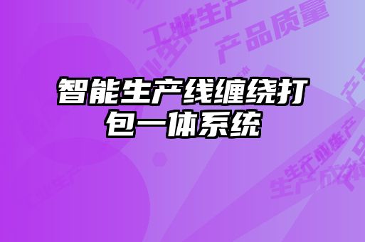 智能生产线缠绕打包一体系统