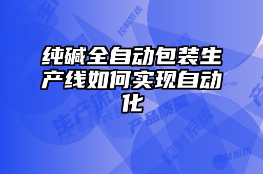 纯碱全自动包装生产线如何实现自动化