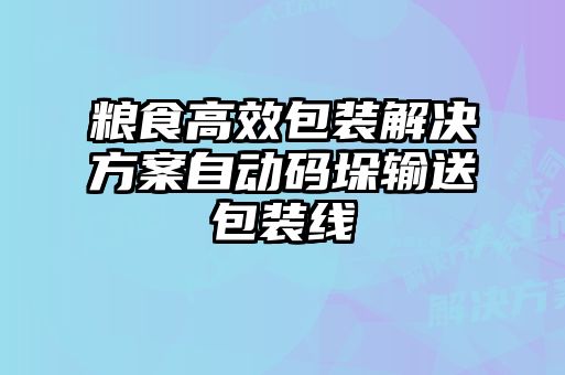 粮食高效包装解决方案自动码垛输送包装线